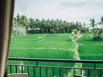 The Sawah & Ubud