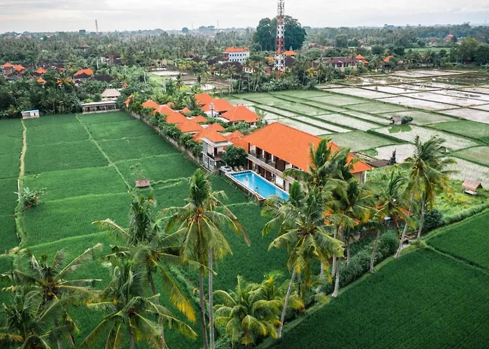 The Sawah &