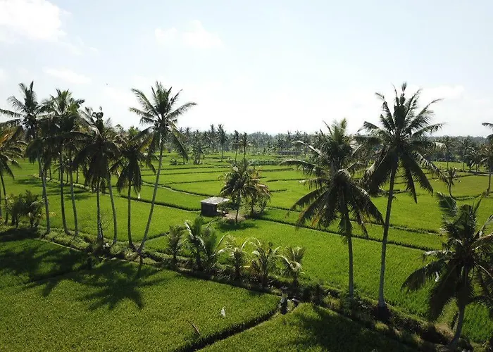 The Sawah & Resort