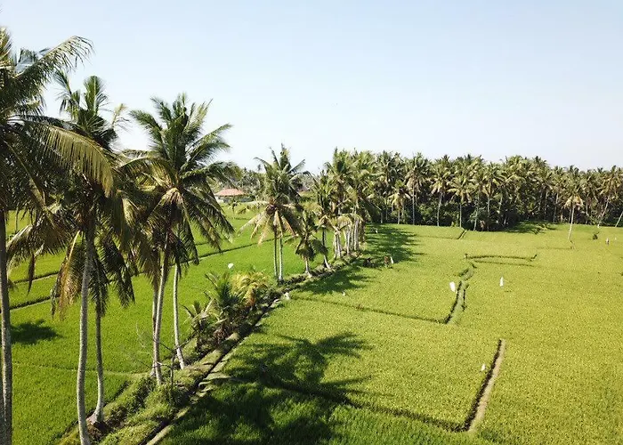 Resort The Sawah &