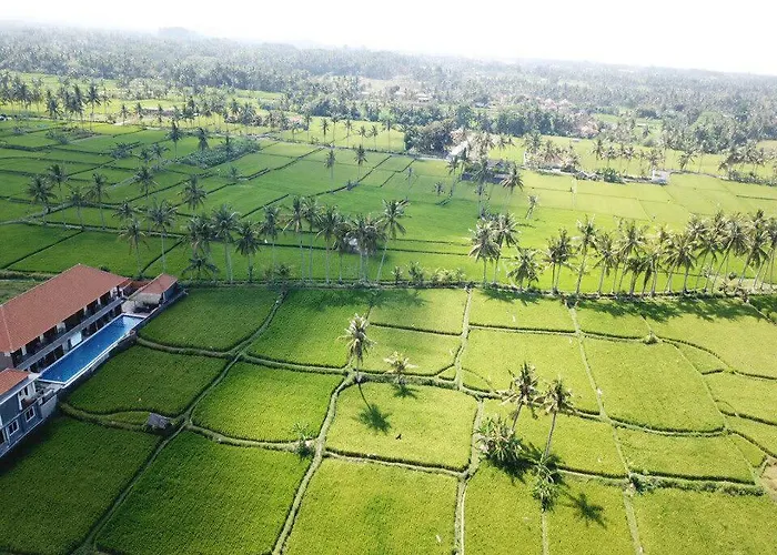 Resort The Sawah & Ubud