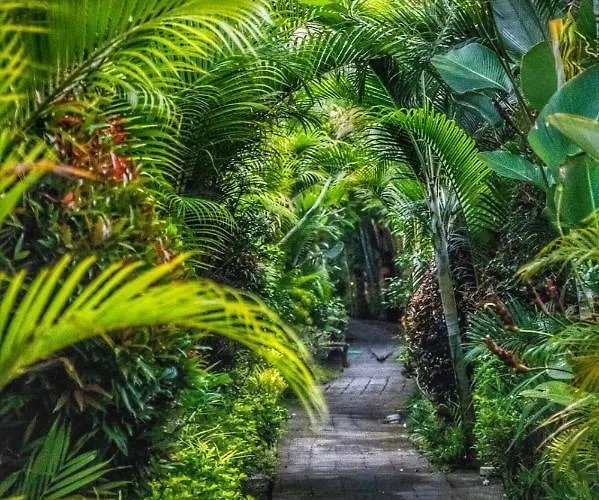 The Sawah & Ubud