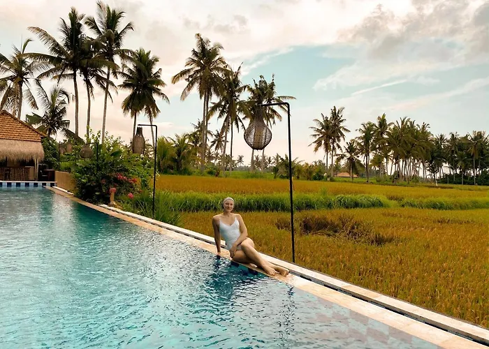 The Sawah &
